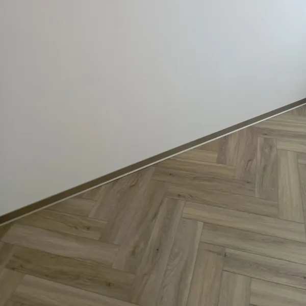 Плинтус алюминиевый Пл 100.2500.042лк Шампань