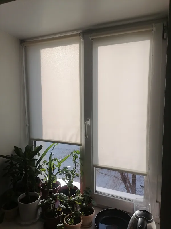 Роллета ШАНТУНГ УЮТ 60*175 Белый